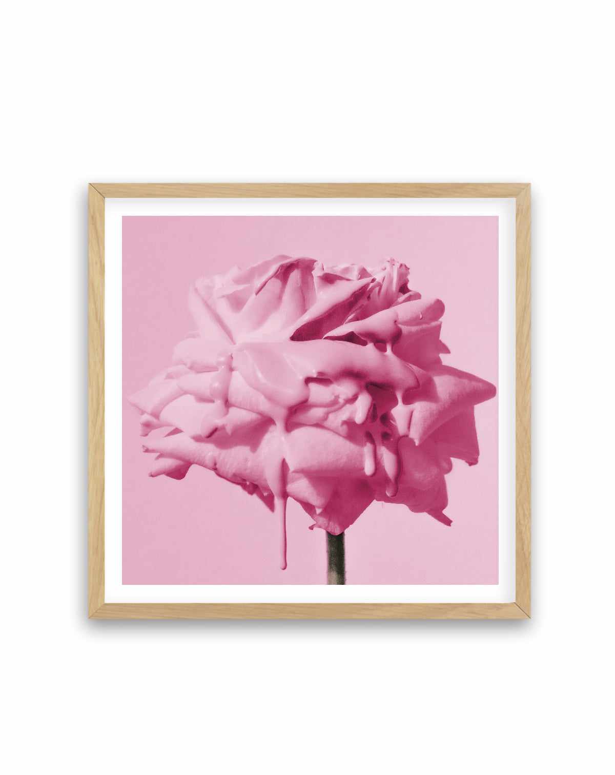 Wild Rose Pink Pop | Art Print