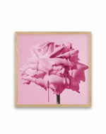 Wild Rose Pink Pop | Art Print