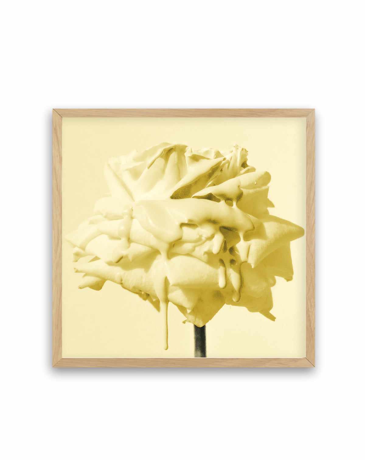 Wild Rose Yellow | Art Print