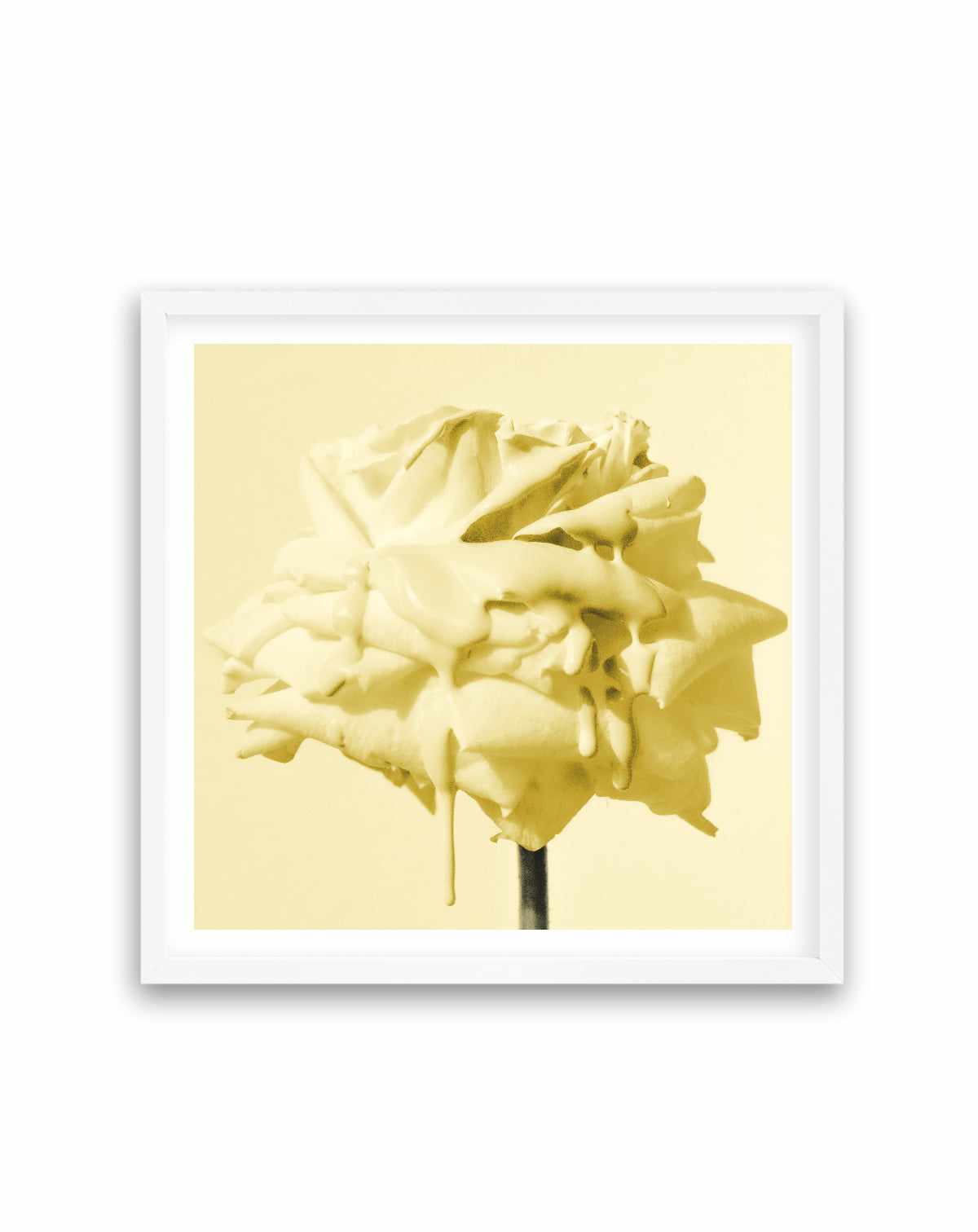 Wild Rose Yellow | Art Print