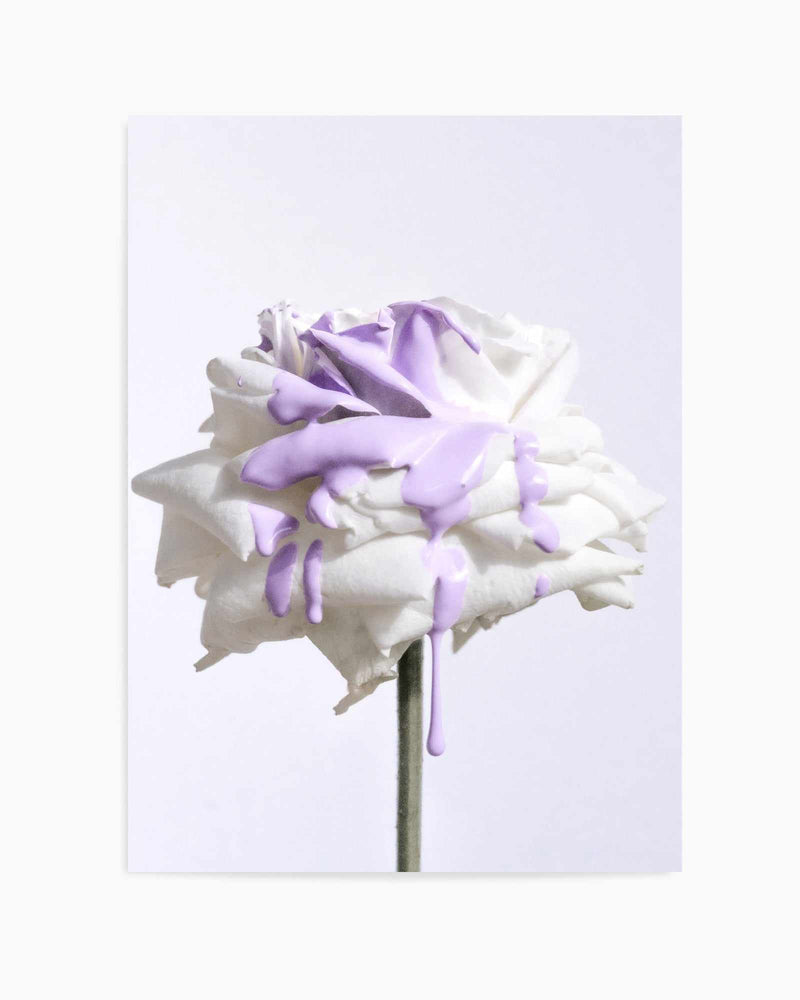 Wild Rose in Lilac I PT | Art Print
