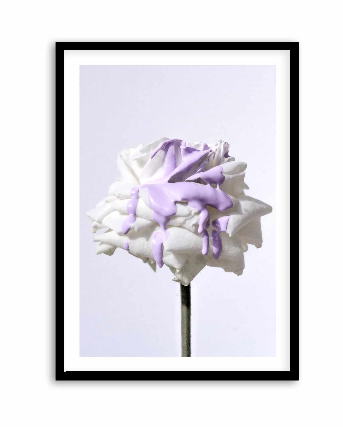 Wild Rose in Lilac II PT | Art Print