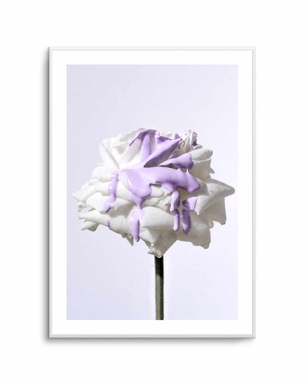 Wild Rose in Lilac II PT | Art Print