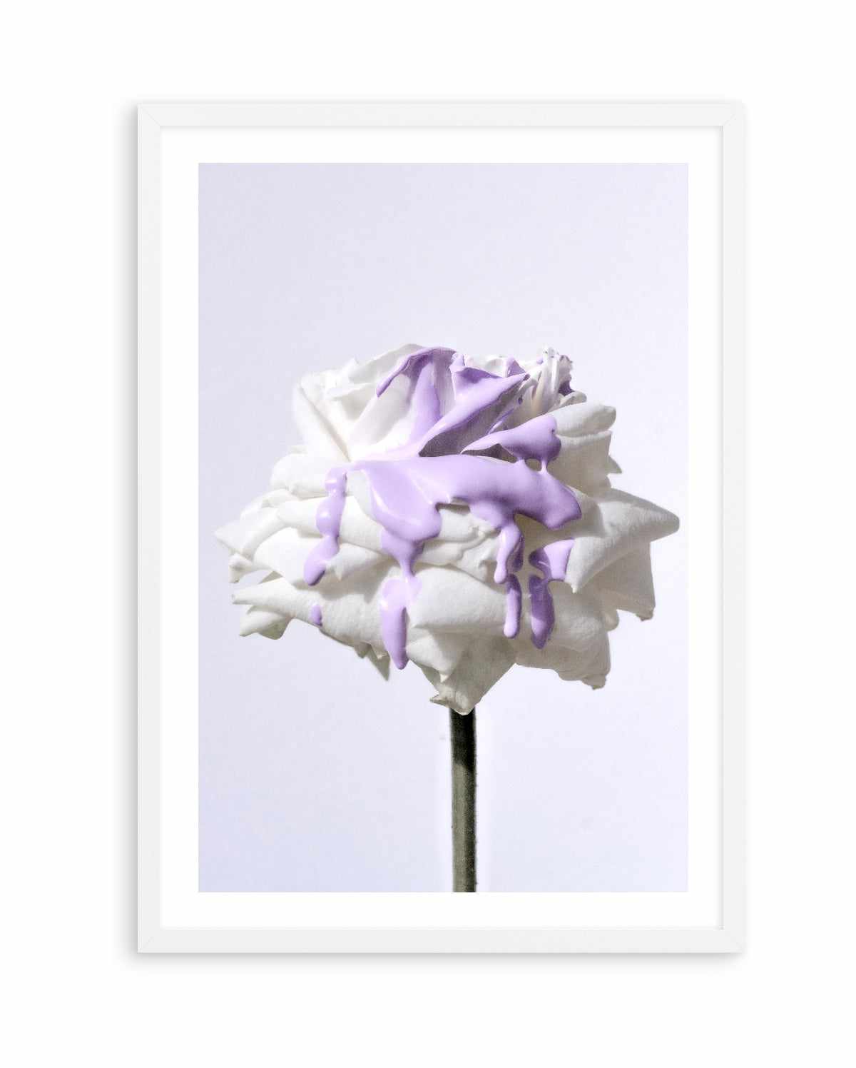 Wild Rose in Lilac II PT | Art Print