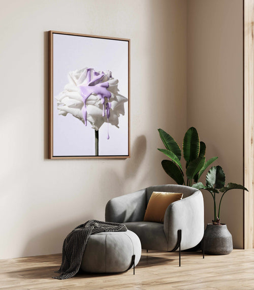 Wild Rose in Lilac III PT | Framed Canvas Art Print