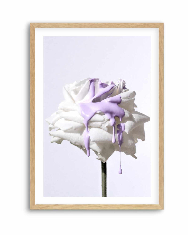 Wild Rose in Lilac III PT | Art Print