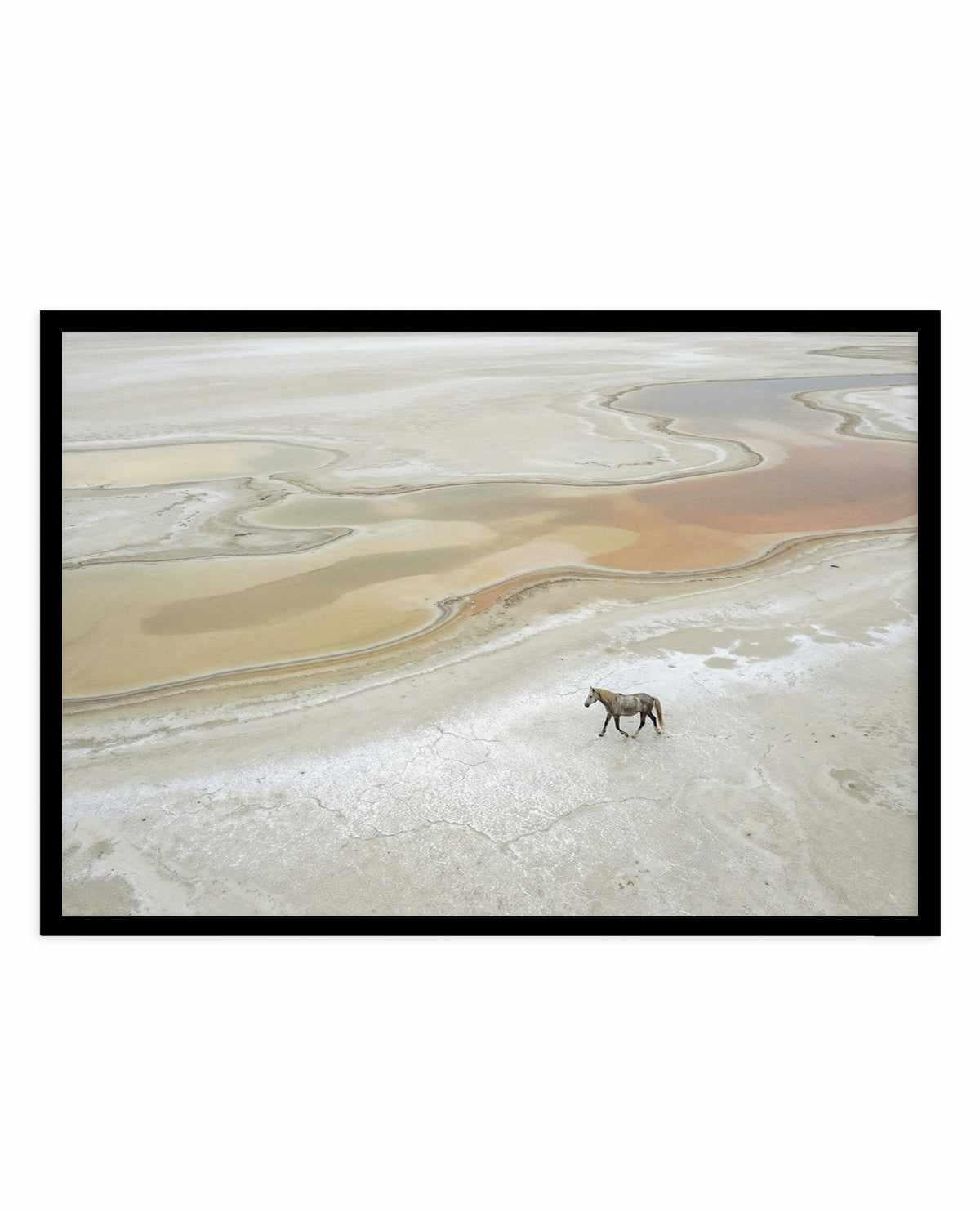 Wild Sands I | Art Print from Olive et Oriel where you can shop wallpaper and artworks online