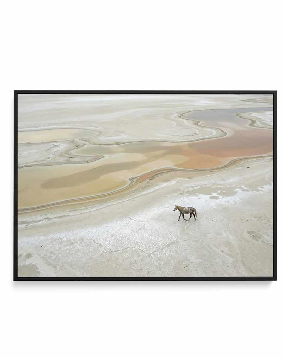 Wild Sands I | Framed Canvas Art Print from Olive et Oriel where you can shop wallpaper and artworks online
