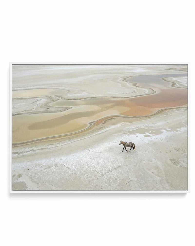 Wild Sands I | Framed Canvas Art Print from Olive et Oriel where you can shop wallpaper and artworks online