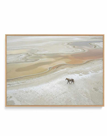 Wild Sands I | Framed Canvas Art Print from Olive et Oriel where you can shop wallpaper and artworks online