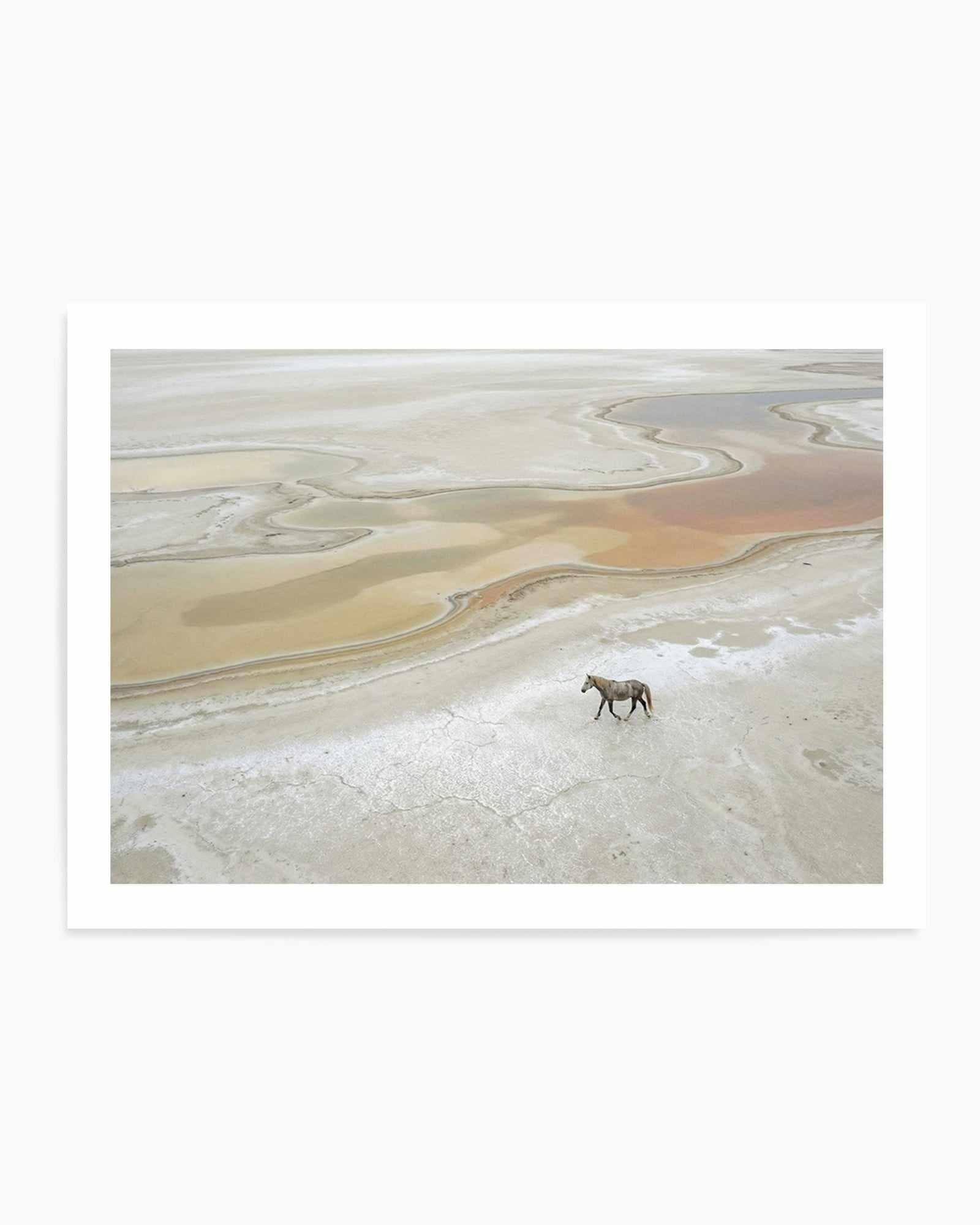 Wild Sands I | Art Print from Olive et Oriel where you can shop wallpaper and artworks online