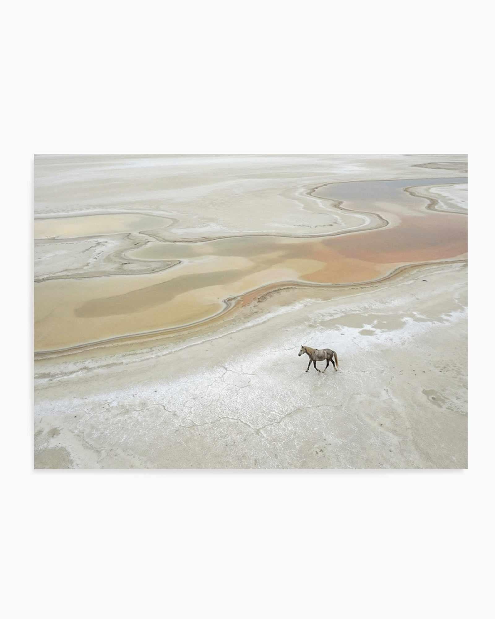 Wild Sands I | Art Print from Olive et Oriel where you can shop wallpaper and artworks online