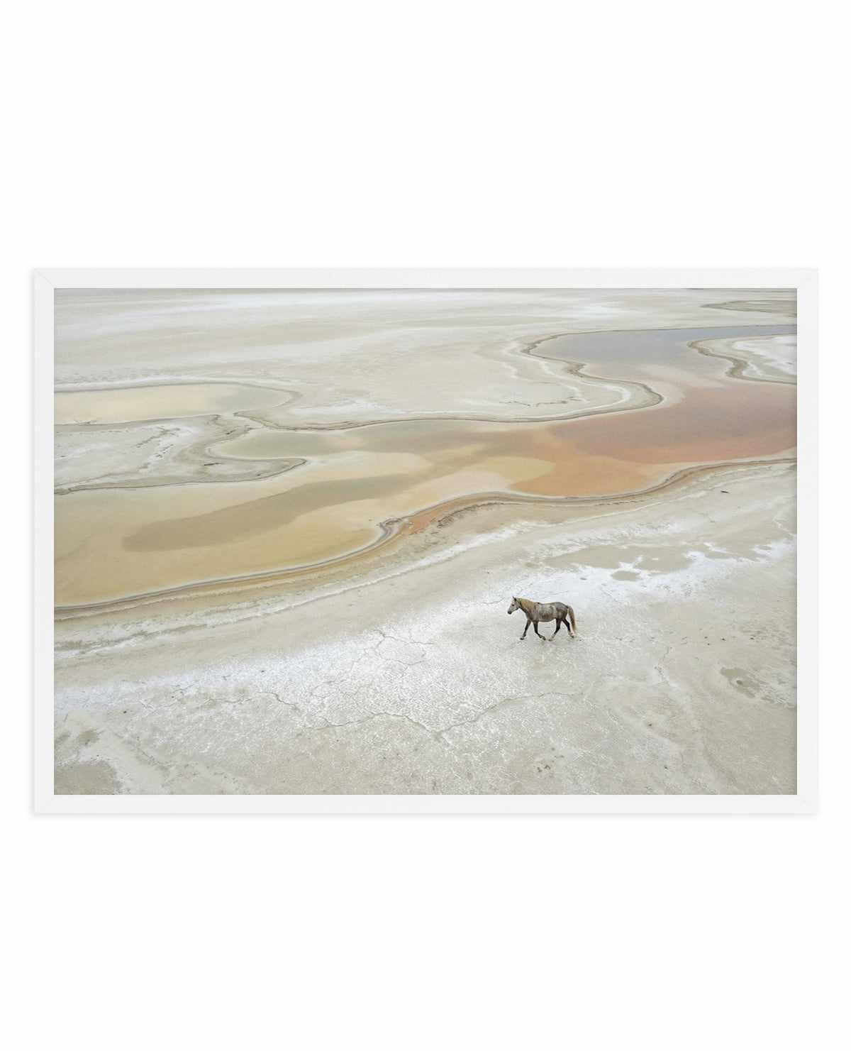 Wild Sands I | Art Print from Olive et Oriel where you can shop wallpaper and artworks online