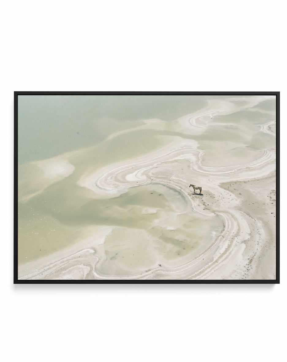 Wild Sands II | Framed Canvas Art Print from Olive et Oriel where you can shop wallpaper and artworks online