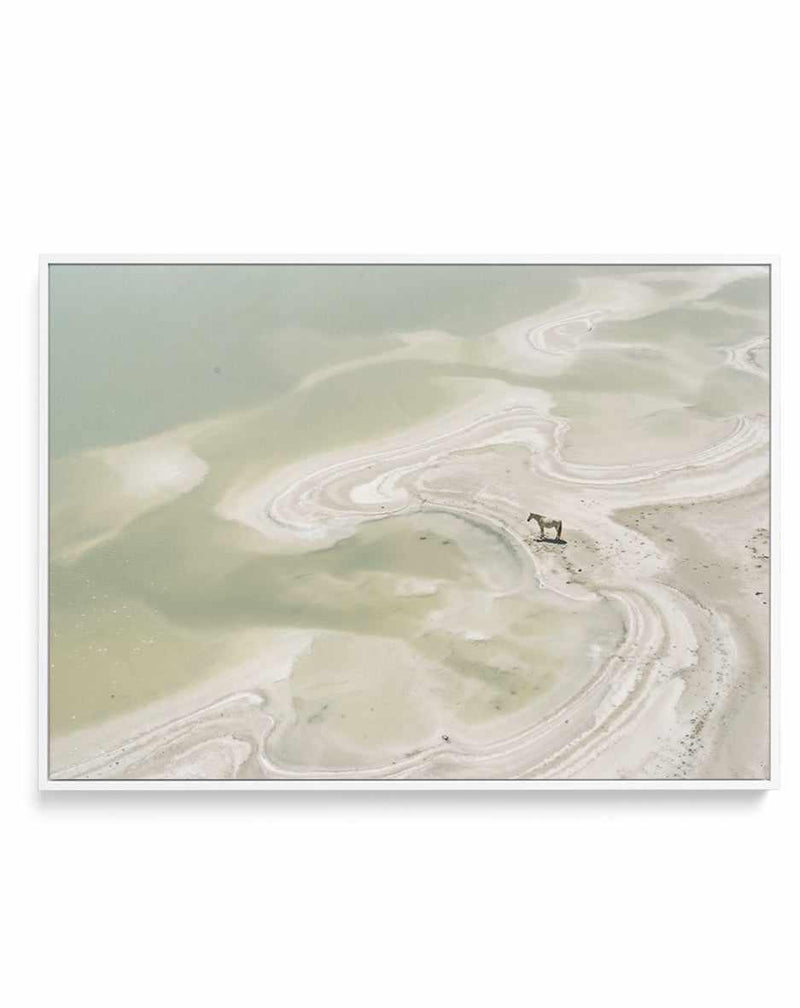 Wild Sands II | Framed Canvas Art Print from Olive et Oriel where you can shop wallpaper and artworks online