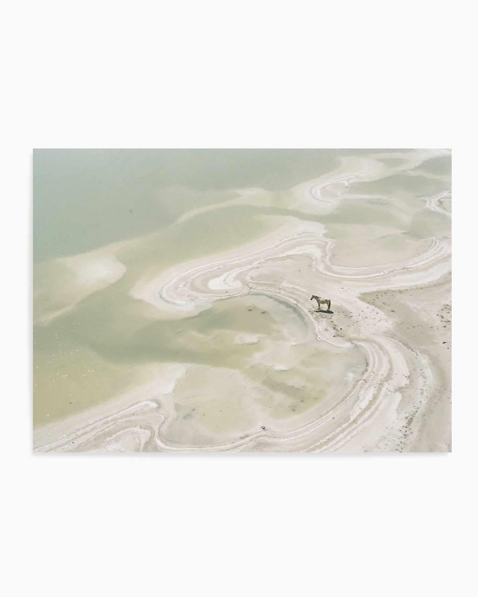Wild Sands II | Art Print from Olive et Oriel where you can shop wallpaper and artworks online