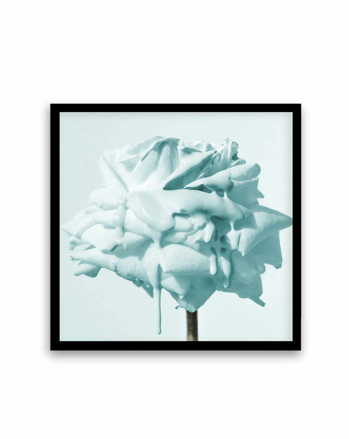 Wild Teal Rose | Art Print