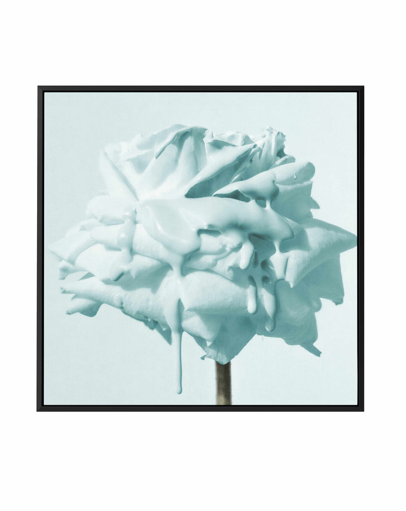 Wild Teal Rose | Framed Canvas Art Print
