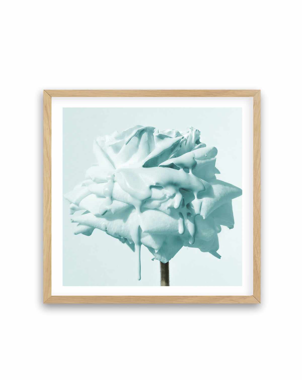 Wild Teal Rose | Art Print