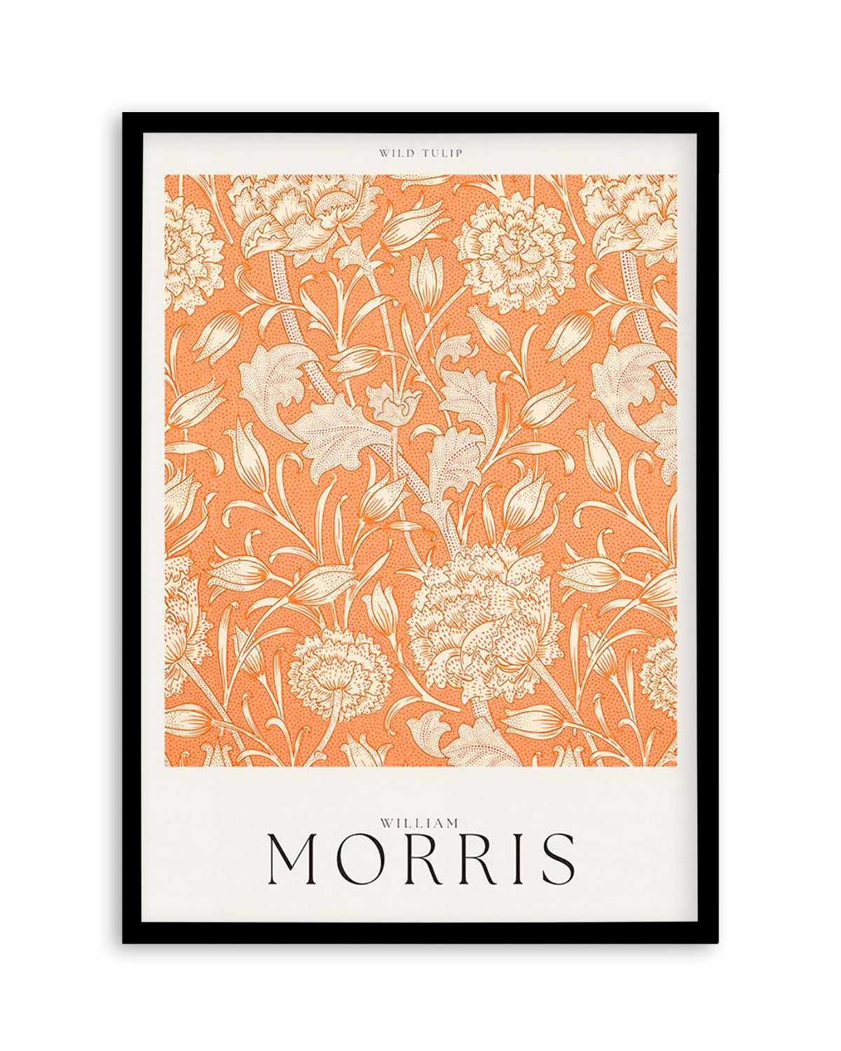 Wild Tulip by William Morris Art Print