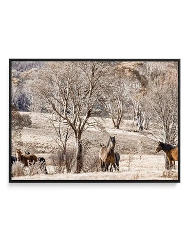 Framed canvas art print depicting a sepia-toned landscape with wild horses grazing in an open field dotted with bare trees. Several brown and bay horses are scattered throughout the natural setting, with dense woodlands visible in the background under overcast skies. The photograph has a muted, earthy color palette of tans, browns, and grays. The canvas is mounted in a black frame with a white border.