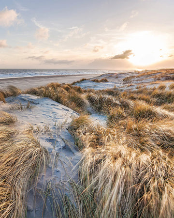 Windswept Beach Photo Mural Wallpaper from Olive et Oriel where you can shop wallpaper and artworks online