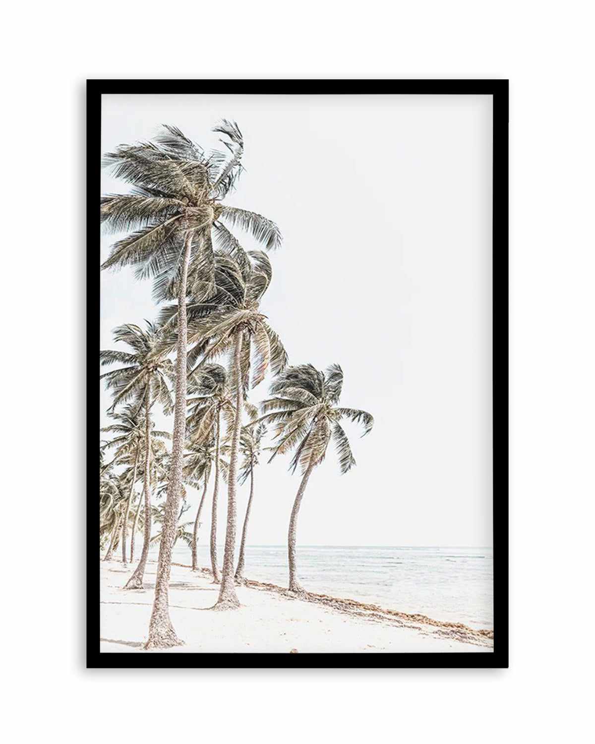 Windy Palms Art Print