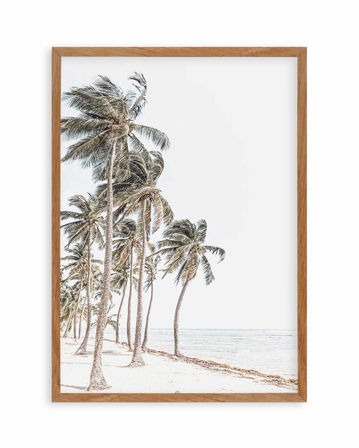 Windy Palms Art Print