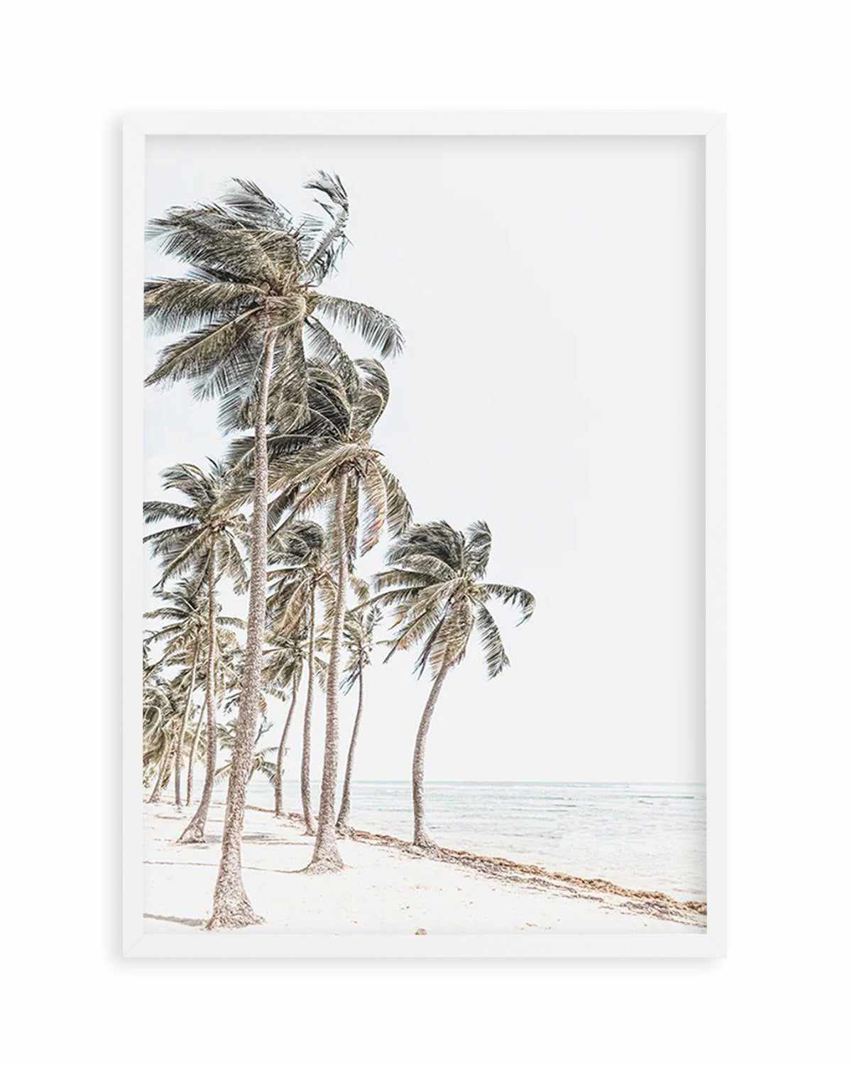 Windy Palms Art Print