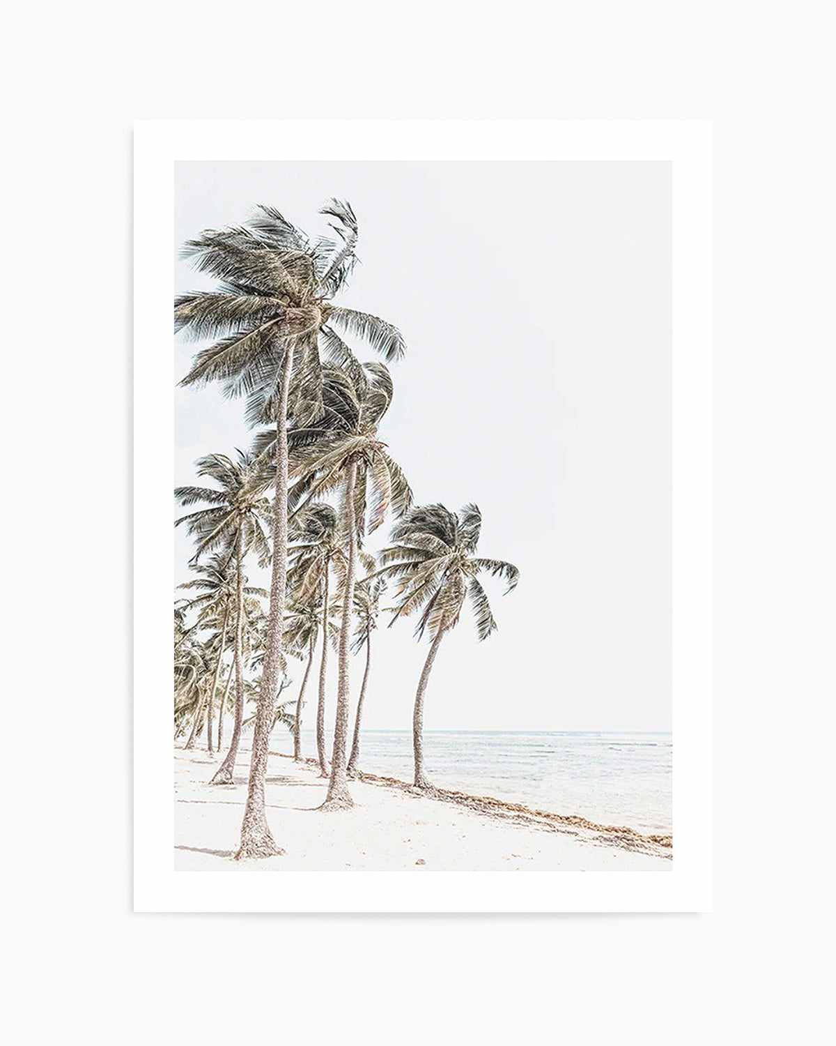 Windy Palms Art Print