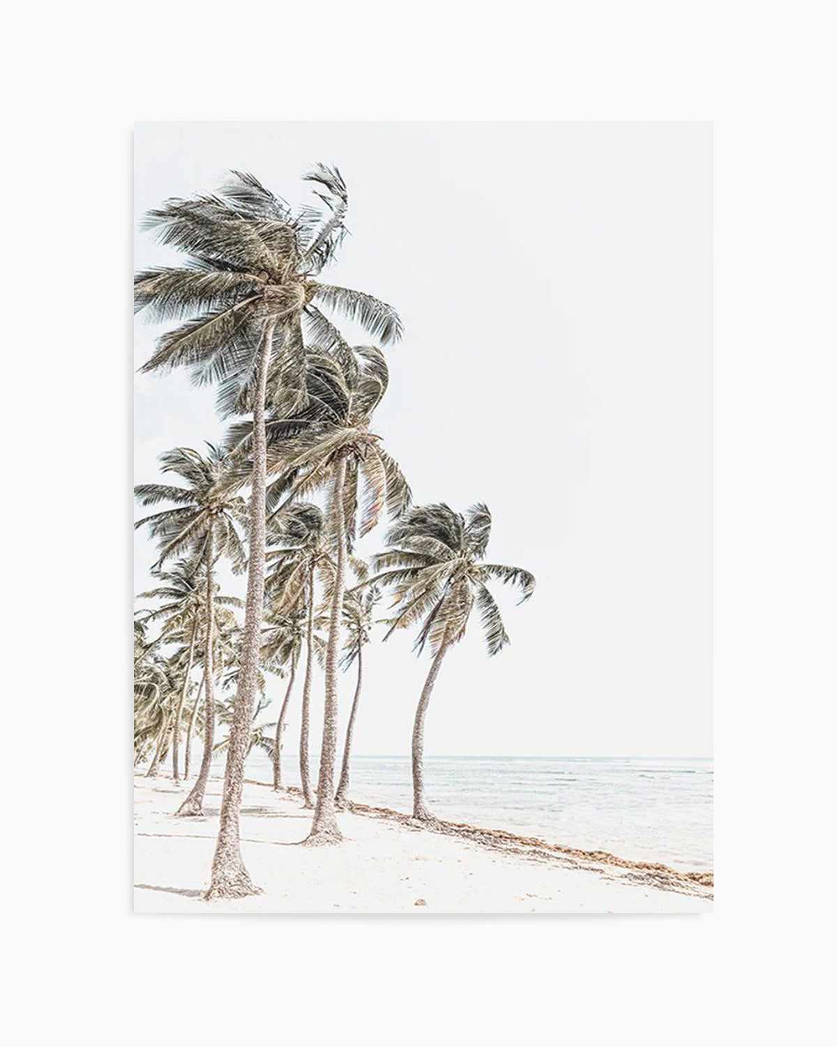 Windy Palms Art Print