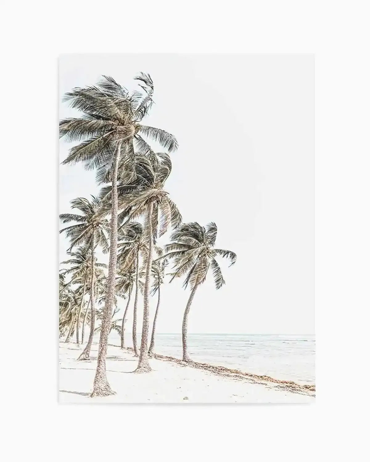 Windy Palms Art Print from Olive et Oriel where you can shop wallpaper and artworks online