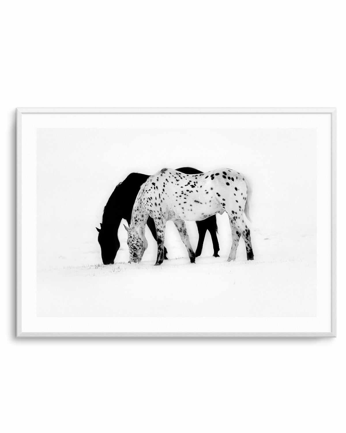 Winter Shadow Art Print