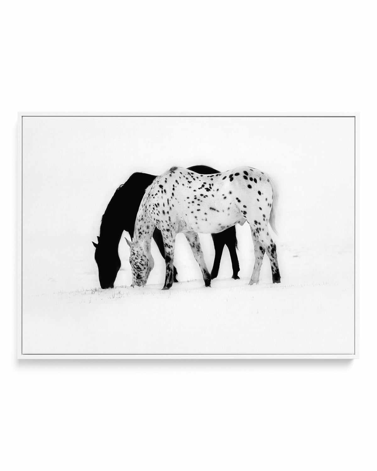 Winter Shadow | Framed Canvas Art Print