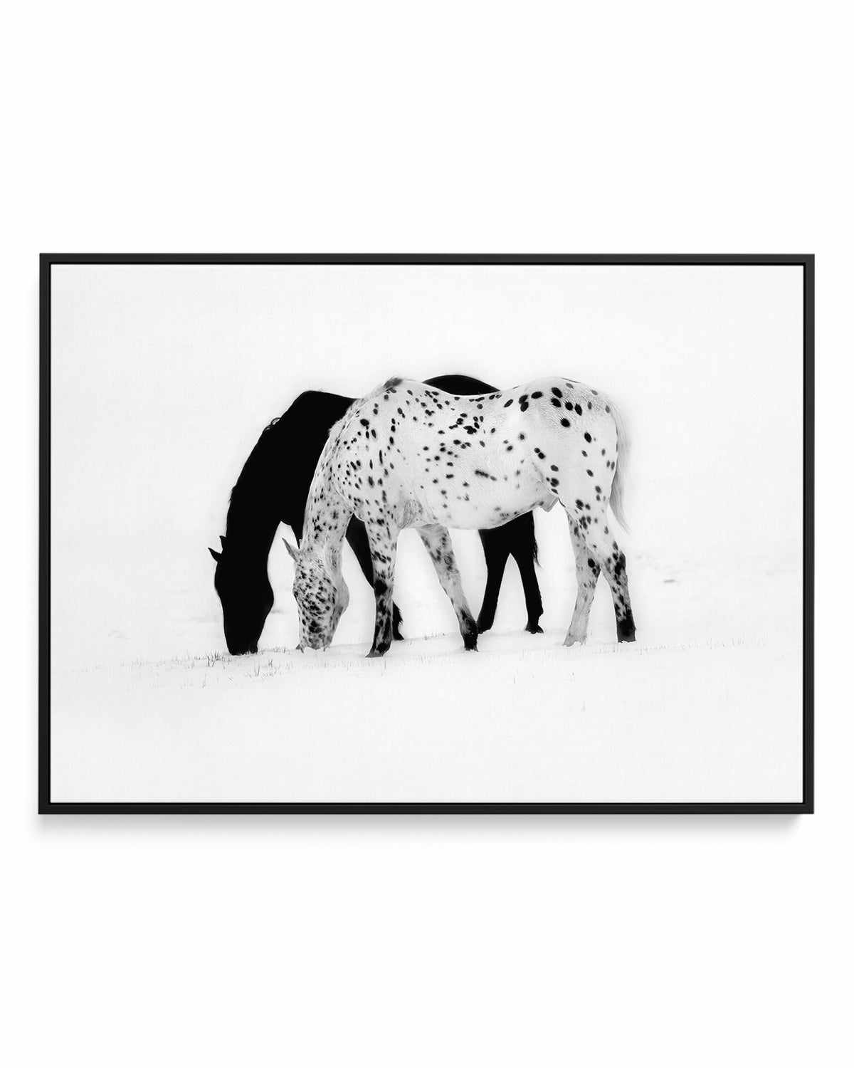 Winter Shadow | Framed Canvas Art Print