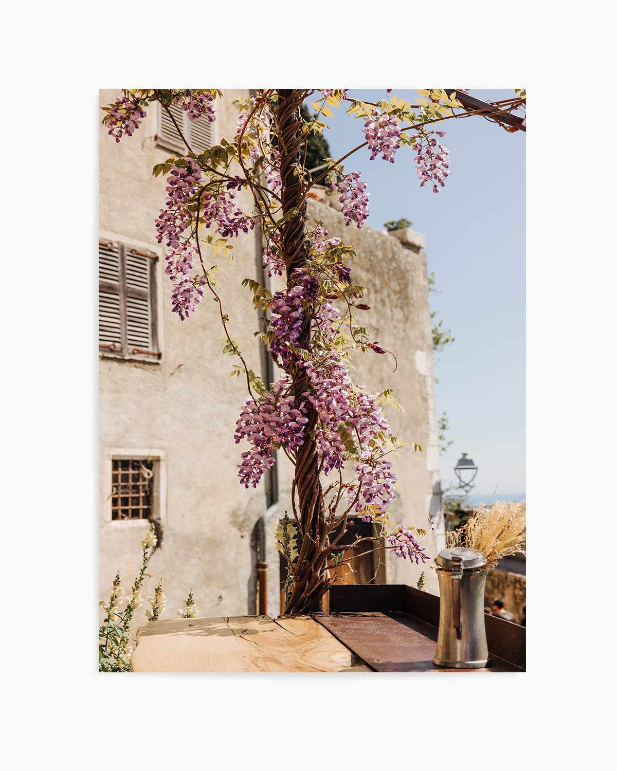 Wisteria Provence I by Jovani Demetrie Art Print