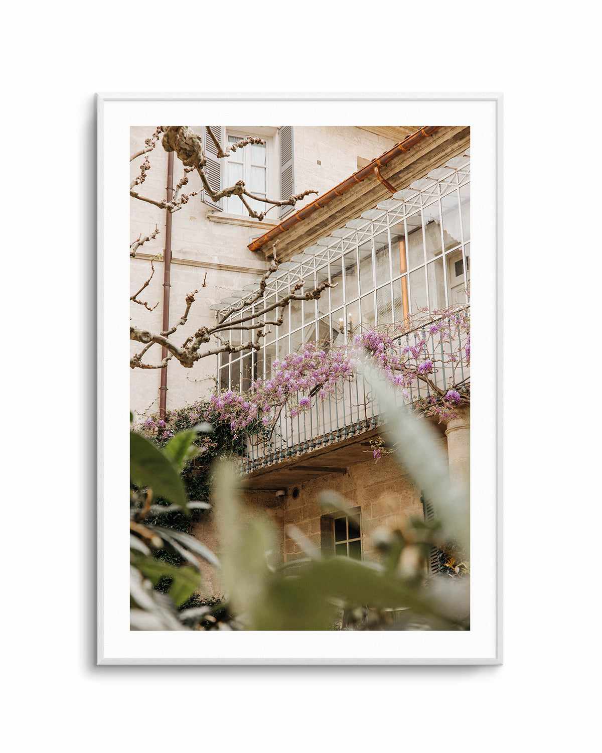 Wisteria Provence II by Jovani Demetrie Art Print