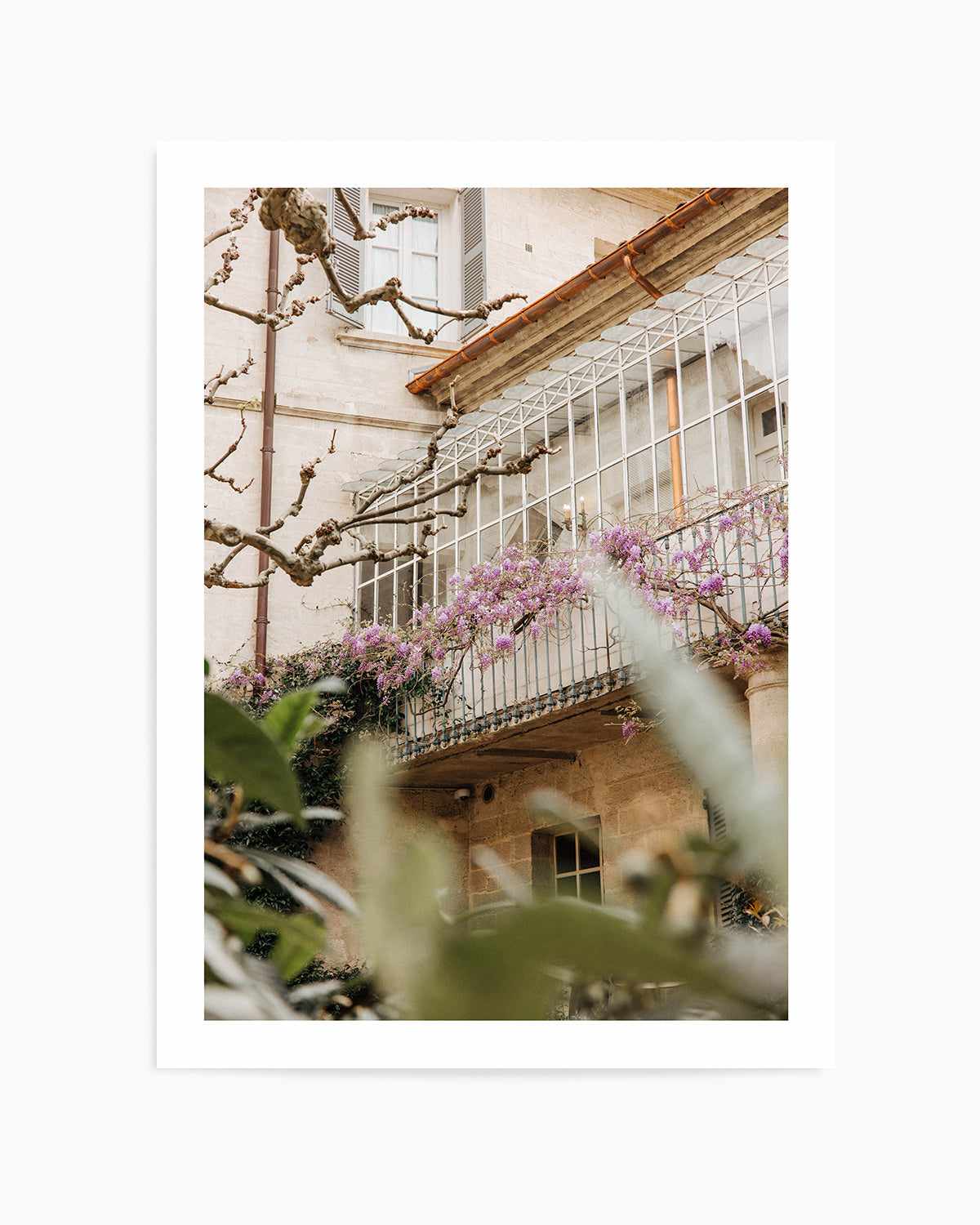 Wisteria Provence II by Jovani Demetrie Art Print