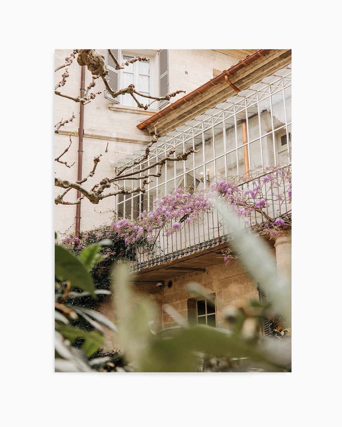 Wisteria Provence II by Jovani Demetrie Art Print