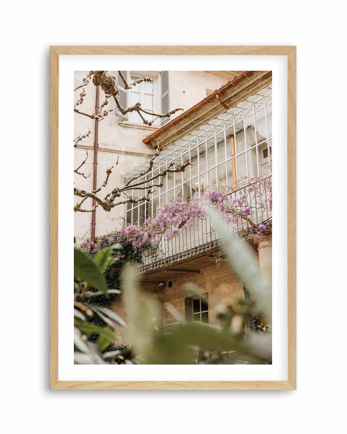 Wisteria Provence II by Jovani Demetrie Art Print