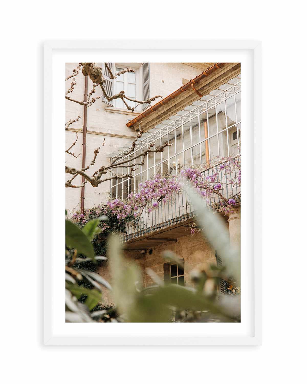 Wisteria Provence II by Jovani Demetrie Art Print