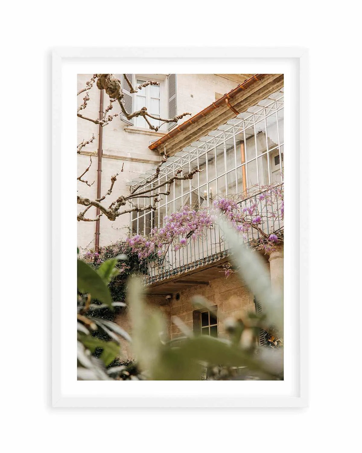 Wisteria Provence II by Jovani Demetrie Art Print from Olive et Oriel where you can shop wallpaper and artworks online