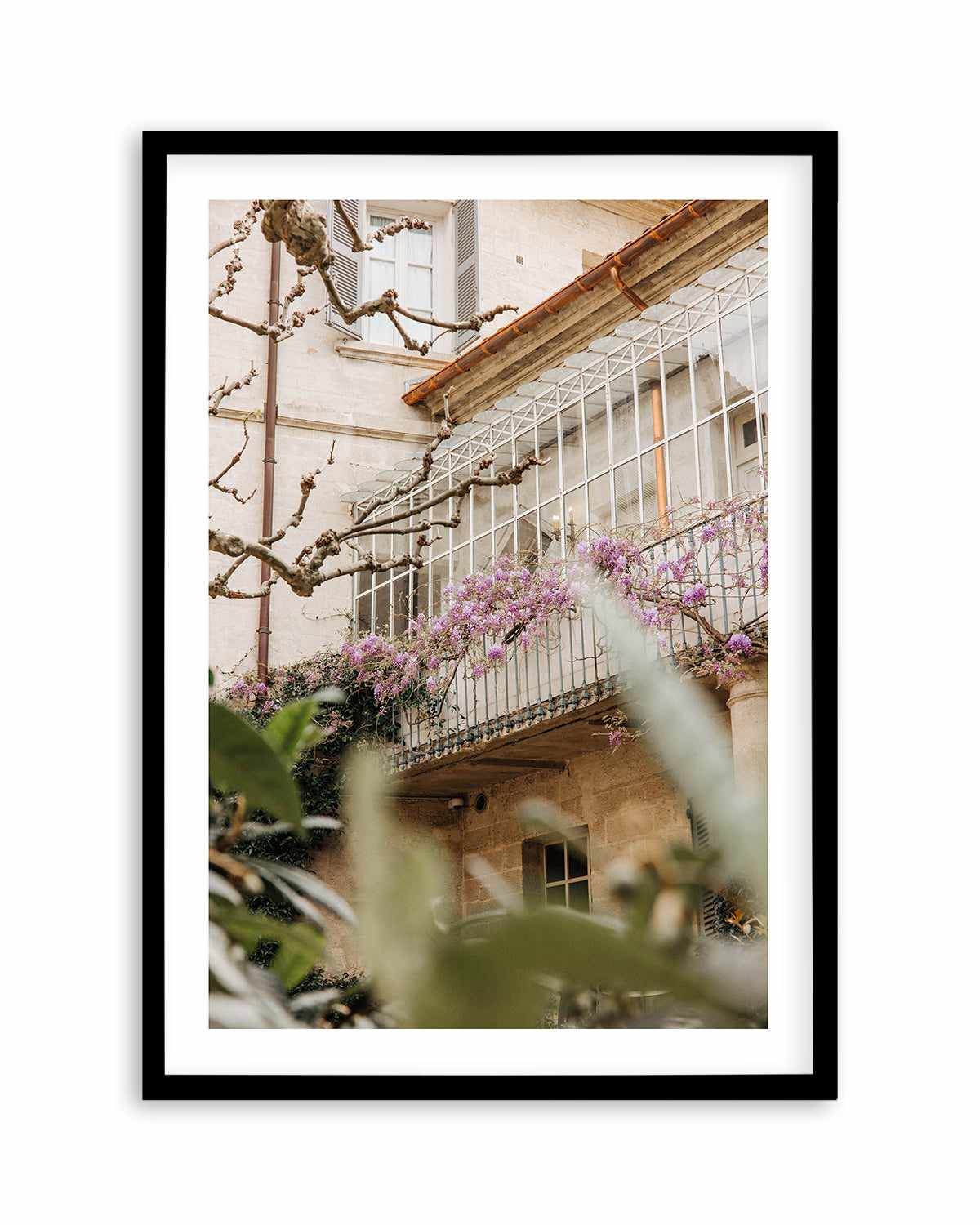 Wisteria Provence II by Jovani Demetrie Art Print