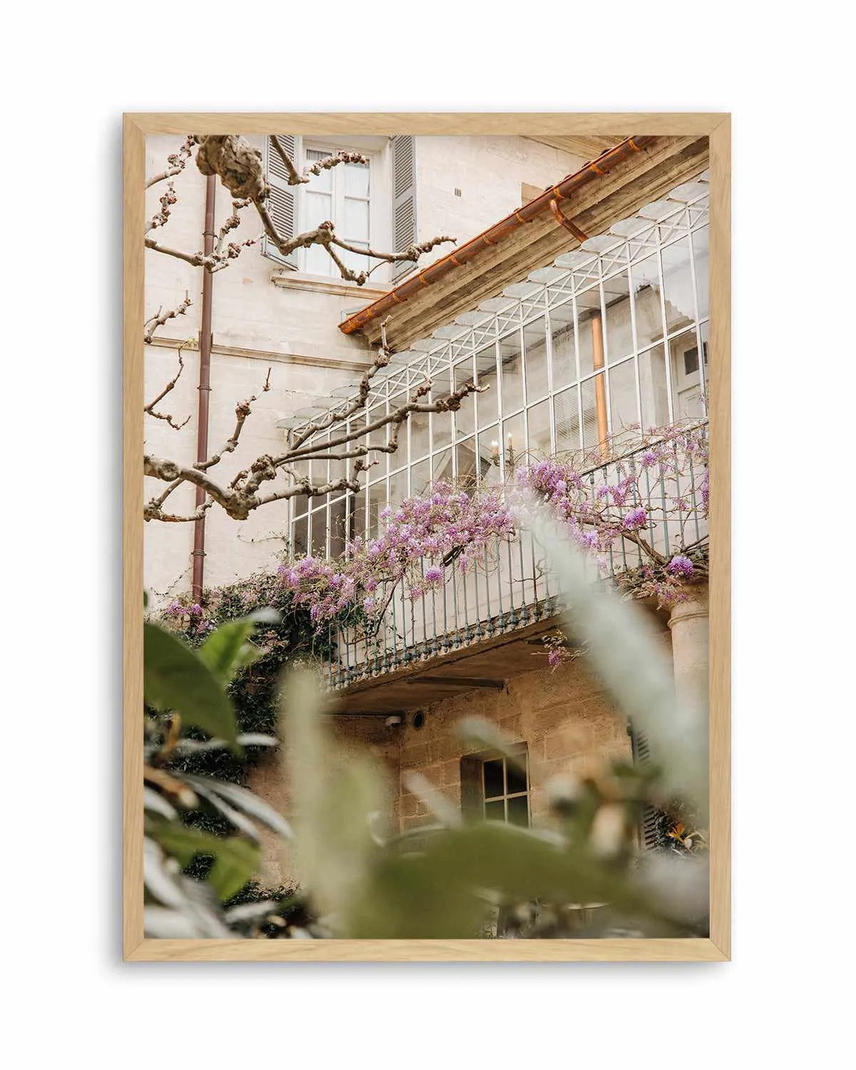 Wisteria Provence II by Jovani Demetrie Art Print from Olive et Oriel where you can shop wallpaper and artworks online