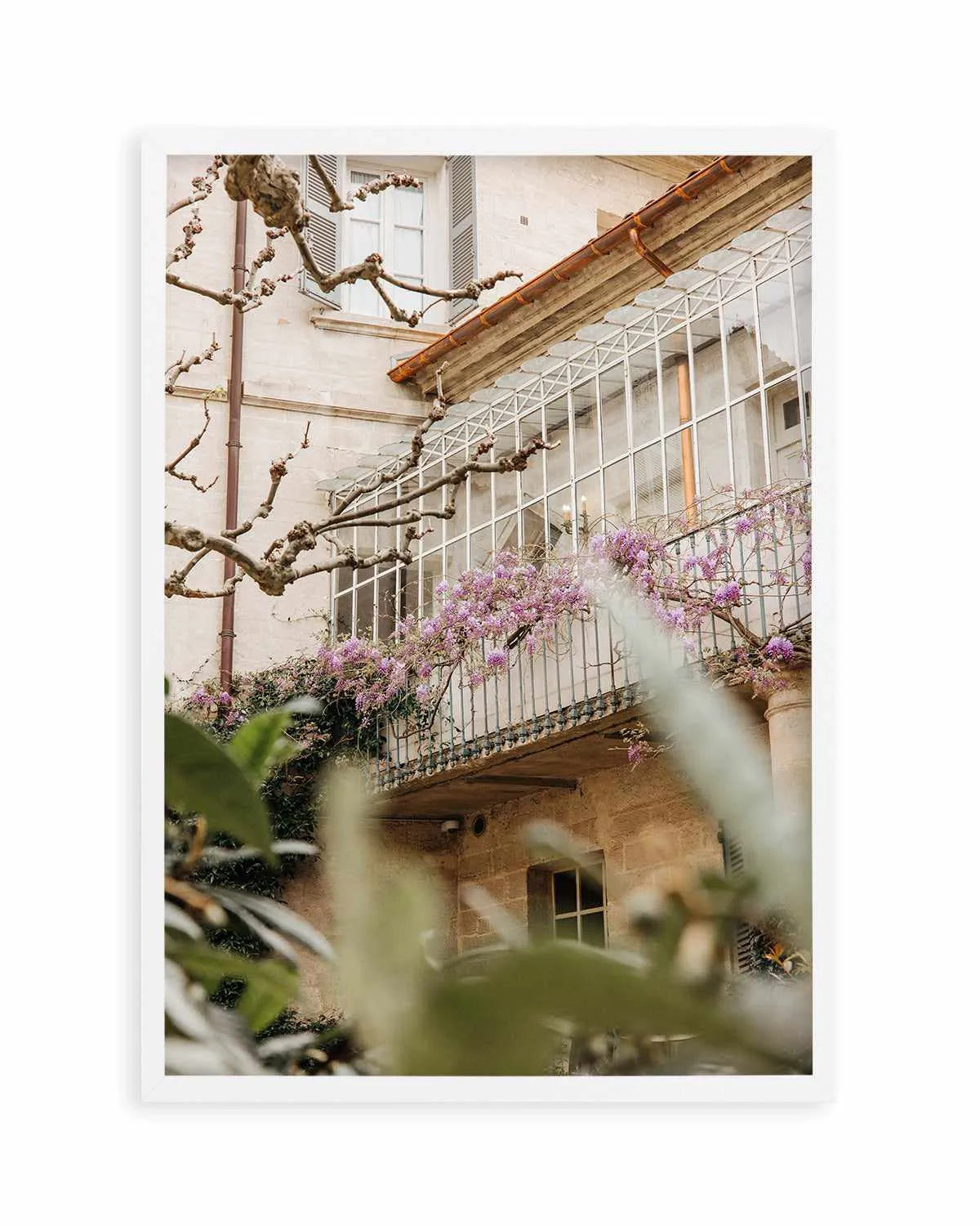 Wisteria Provence II by Jovani Demetrie Art Print from Olive et Oriel where you can shop wallpaper and artworks online