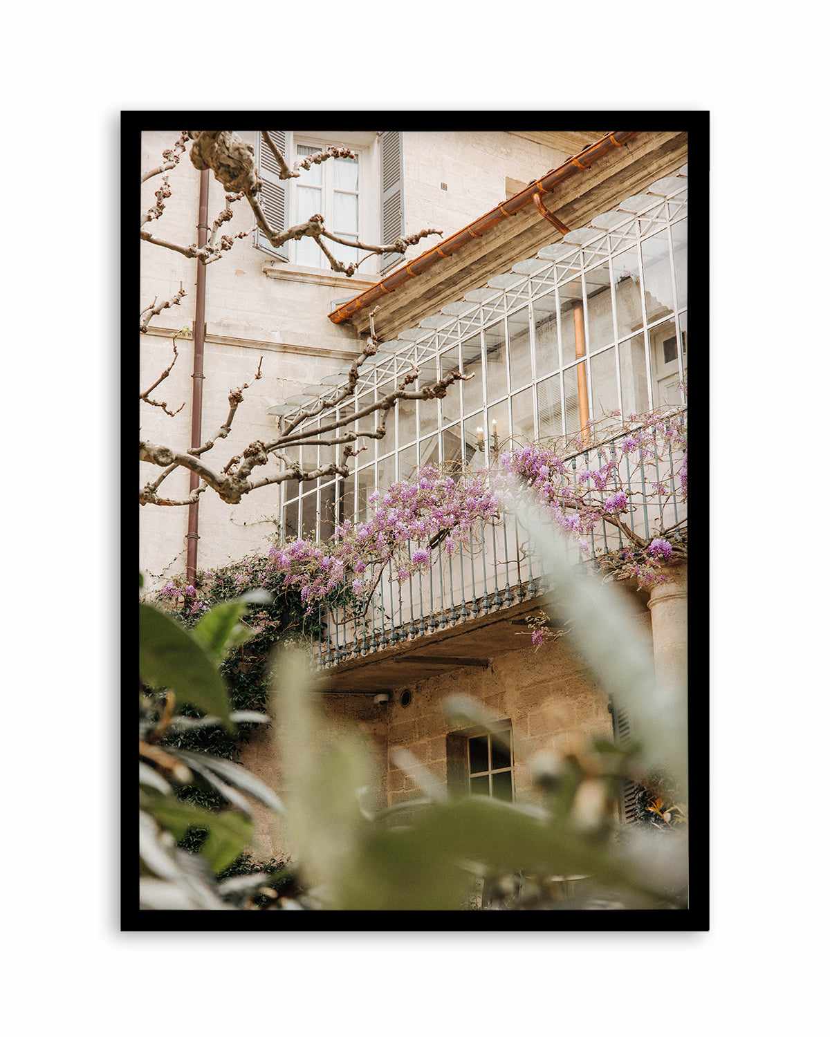 Wisteria Provence II by Jovani Demetrie Art Print