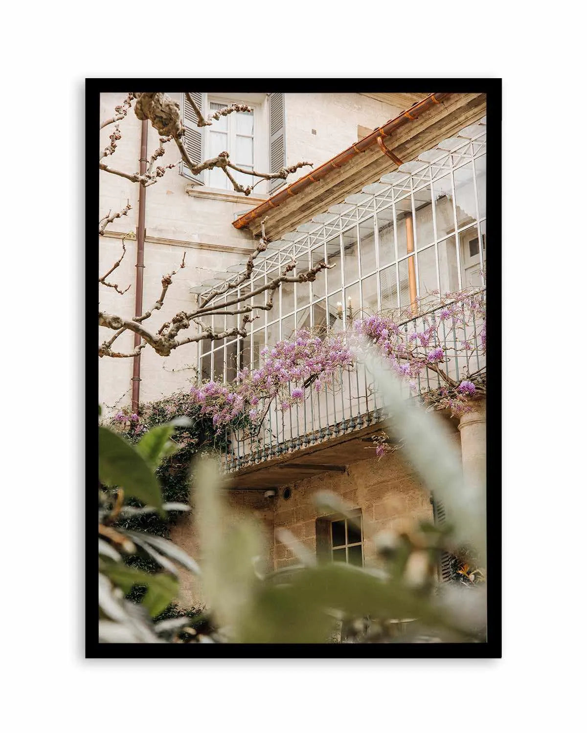 Wisteria Provence II by Jovani Demetrie Art Print from Olive et Oriel where you can shop wallpaper and artworks online