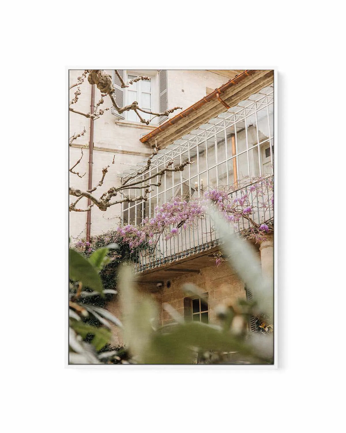 Wisteria Provence II by Jovani Demetrie | Framed Canvas Art Print from Olive et Oriel where you can shop wallpaper and artworks online