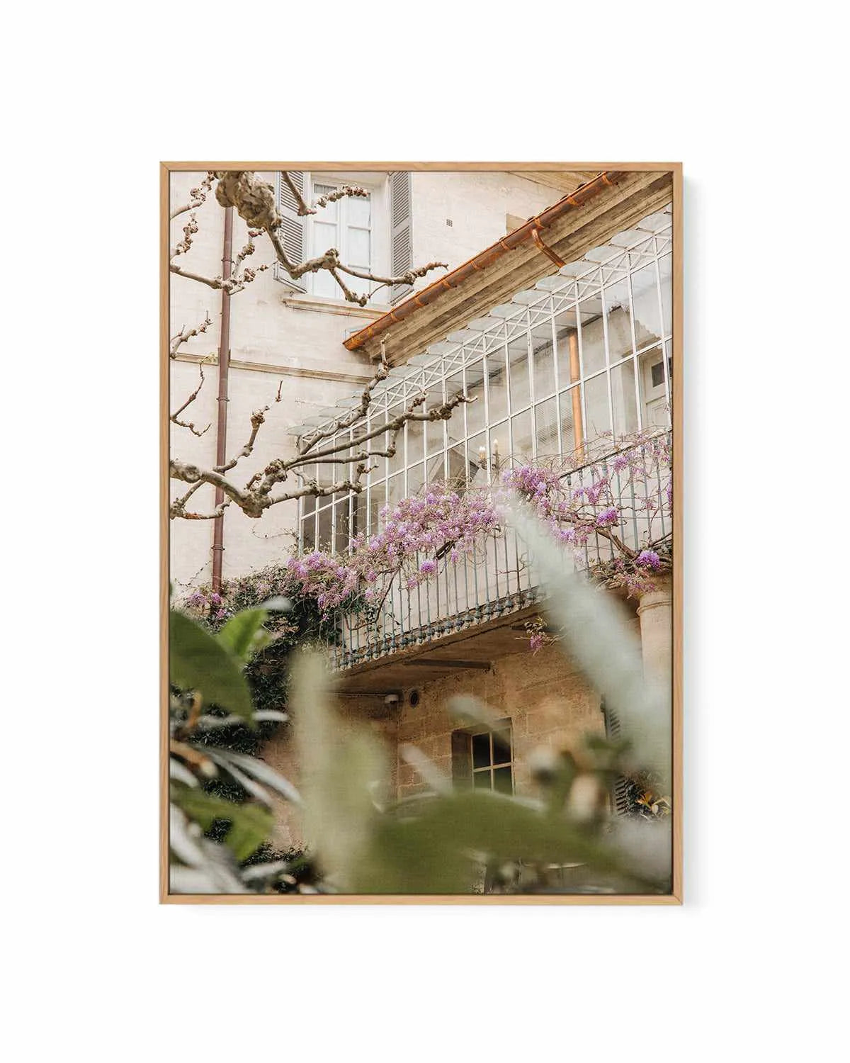Wisteria Provence II by Jovani Demetrie | Framed Canvas Art Print from Olive et Oriel where you can shop wallpaper and artworks online
