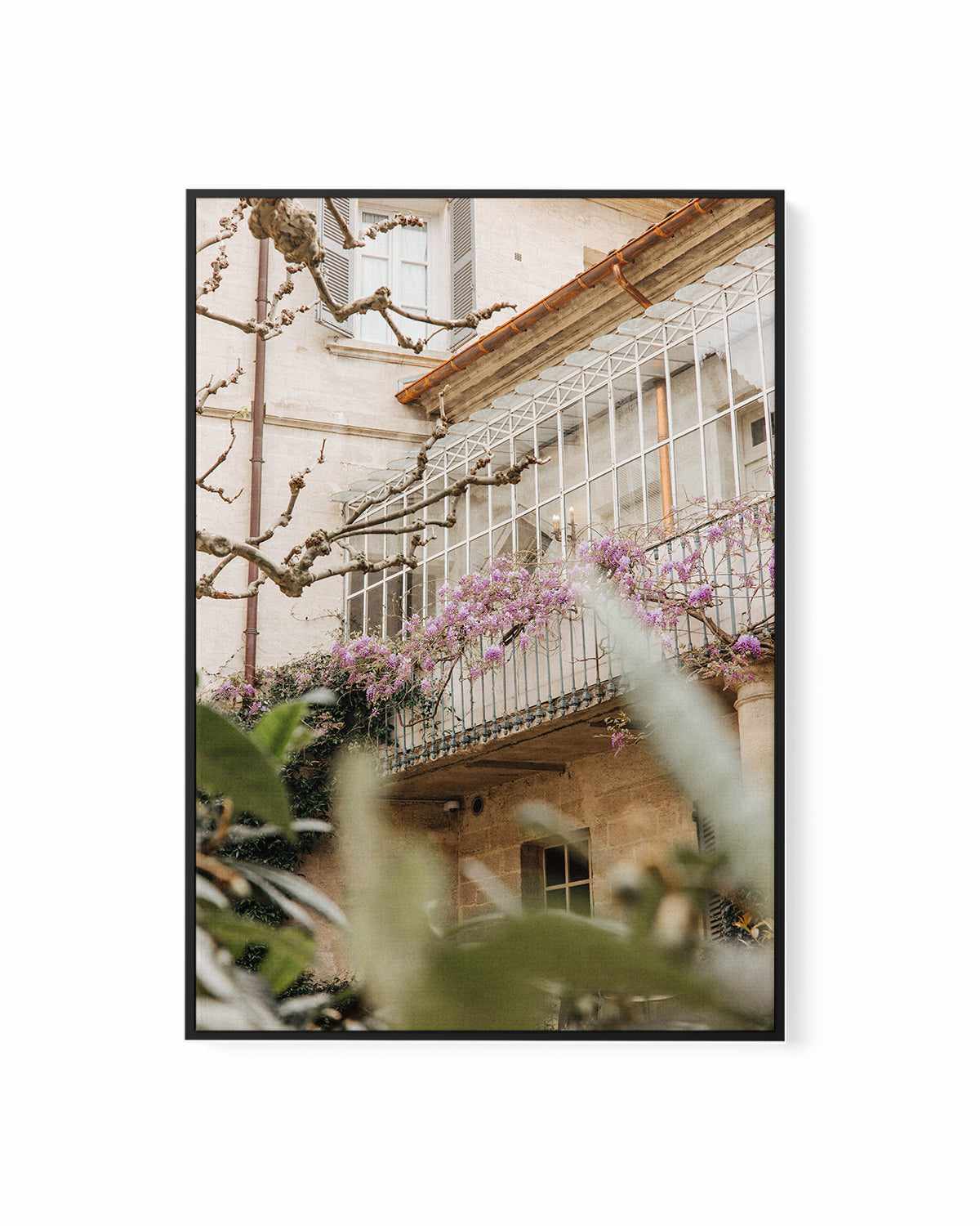 Wisteria Provence II by Jovani Demetrie | Framed Canvas Art Print